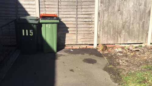 Eco-friendly waste disposal practices
